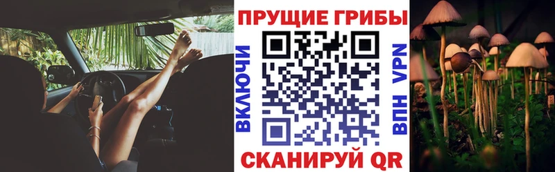 Купить закладки  Любань  Псилоцибиновые грибы Cubensis 
